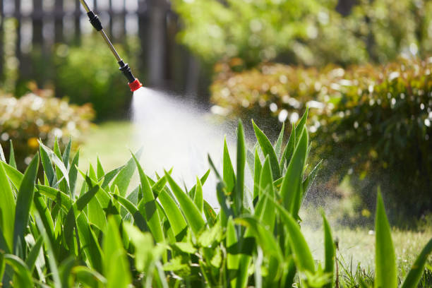 24/7 Emergency Mosquito Control experts in Grayson, GA